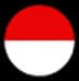 Pol language flag